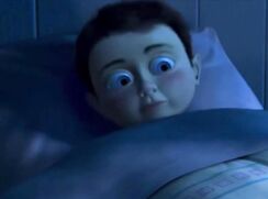 The Universal Experience