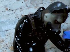 *German*foursome pup games *Nicer*