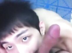 Asian Suck Boys Diary Action Porn amateur, blowjob