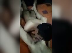 sucking boys dick late night in bed