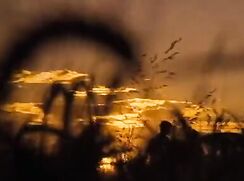 Daniel Radcliffe, December Boys