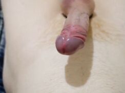 Ultimate orgasm cum boys porn