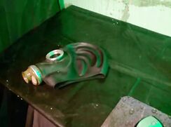 Delivery of Slave *Nicer*