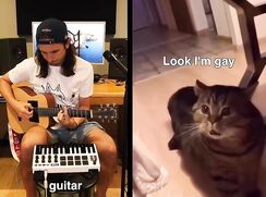 Rubax Video - The Kiffness x Gay Cat - Look I'm Gay (Why Are You Gay?)