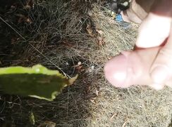 [ABX][6][383] - Ze fais mes marques en terre inconnu... Comme un petit toutou...