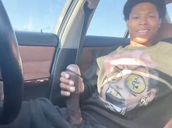 Black Beauty Busting