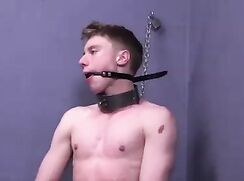 Noah -Silent Slavery