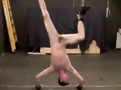 Ensign Summer -Captured Sailor