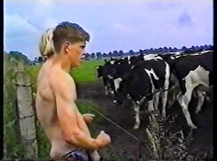 Vintage Euro-porn with boys attempting to frighten cows with their mighty tools