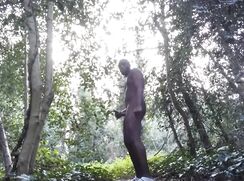 ABX Clips - Risky wank in the woods - Public