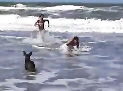 Amateur webcam: At the seaside