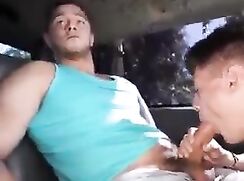 Car Bj.