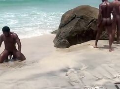 Gay Beach Sex