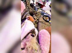 furry stroking it
