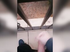 Mein Prinz wollte die Welt von oben Sehen, und musste Kotzen!