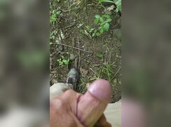 He made me do it (so bossy)