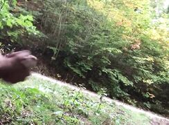 Flashing my giant teen cock in the woods (Huge cumshot) - 06-26-25