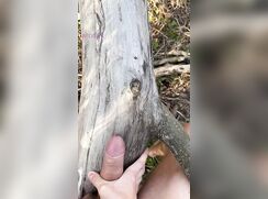 Tree Humping Instead Of Hugging Uncut Cum porn