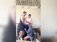 Two bears and a cub in the garage