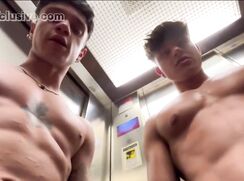 HBW Orgy @ The Elevator 04072059