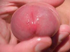 JW - Juicy cum fountain - AP015