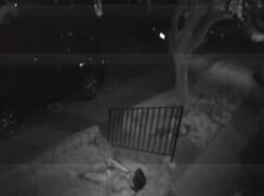 Doorbell Camera Catches Dude Jerking In Front Garden porn
