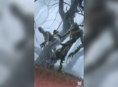 Leshy bait