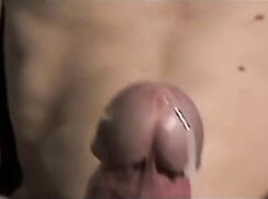 Smooth slender twink great mushroom