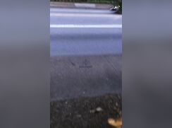 Behind the bushes on a busy road (Do you think anyone saw) - 08-01-25