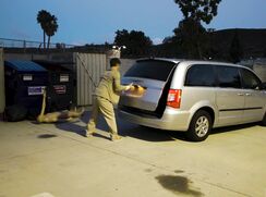 ♥ L'animateur X ♥