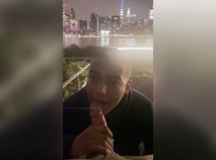 NYC Riverside BJ porn