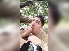 Crusing:Sucking a big dick