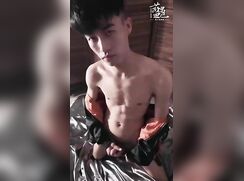 Bluemen No 459 Elvin