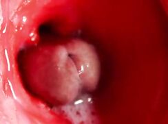 Probe Stunde für Anfänger, bis es kommt.