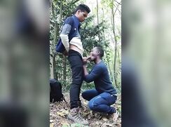 feeling frisky in the forest