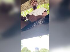 View from under the picnic table