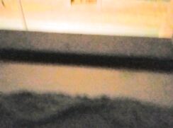 Let Freedom Ring and Cum Fly!