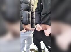 Winter fucking in the snow