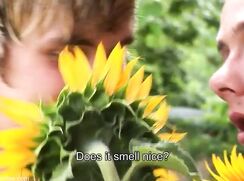 boys in the sunflowers