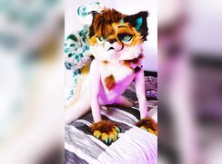 Furry kitty getting his ass destroyed