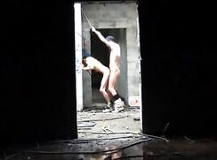 Movies - FL - Two XXL Horse Dicks
