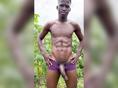 What grows at the cassava field