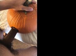 Breeding the Pumpkin