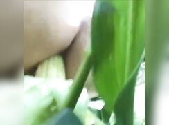 Nature's Dildo