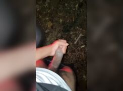 Nutting in the rain - 11-15-25