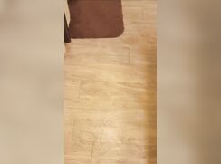 I came all the way across the room! - 11-15-25