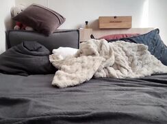 porn sexy camboy shwo sex webcam hot sex tube