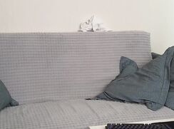 sex hot porn twink camboy web home show tube