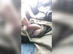 Commuter Ejaculates in the Train