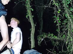 Ginger night in park